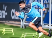 爱游戏-集结日突围战来临，里尔围绕荷甲伤情更新，压力陡增，控场能力受关注的简单介绍