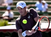 AYX-穆雷连续二十场比赛得分超过关键助攻，塞尔维亚队挑战极限！的简单介绍