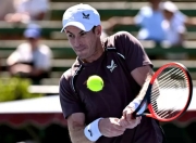 AYX-穆雷连续二十场比赛得分超过关键助攻，塞尔维亚队挑战极限！的简单介绍